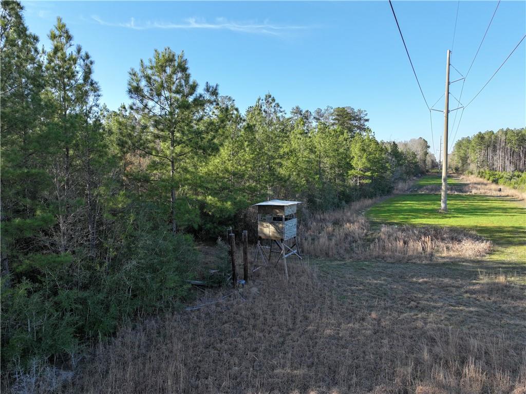 Us 51 Highway, Kentwood, Louisiana image 13