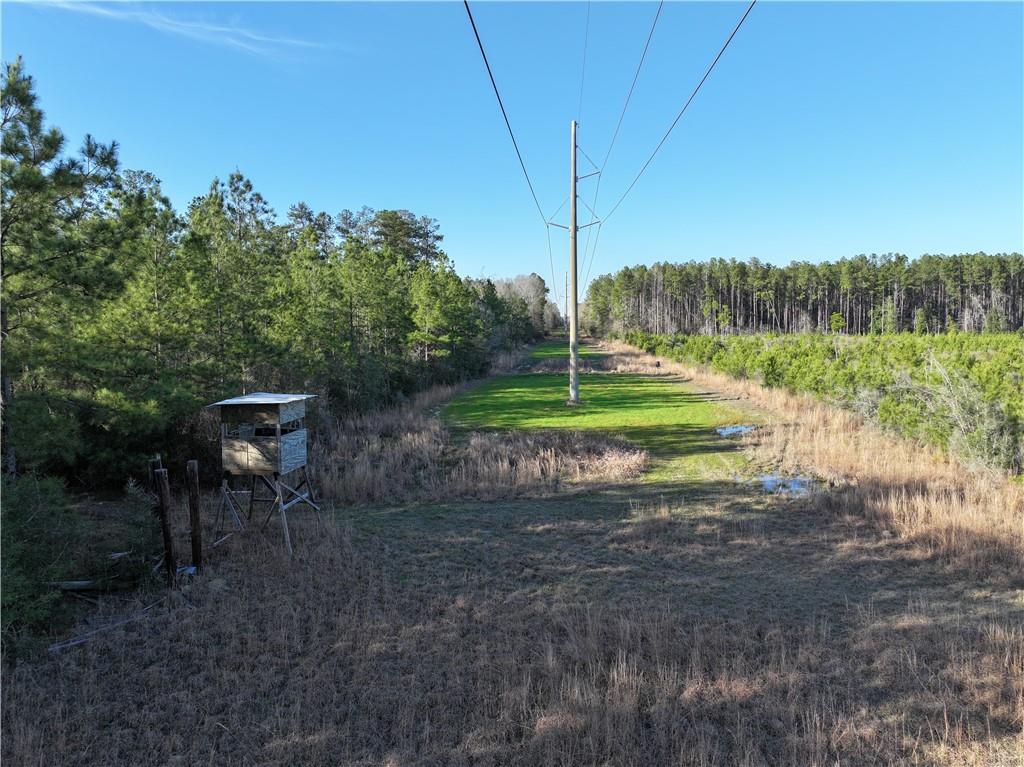 Us 51 Highway, Kentwood, Louisiana image 14