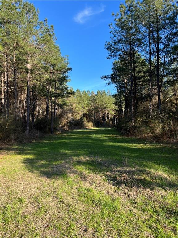 Us 51 Highway, Kentwood, Louisiana image 19