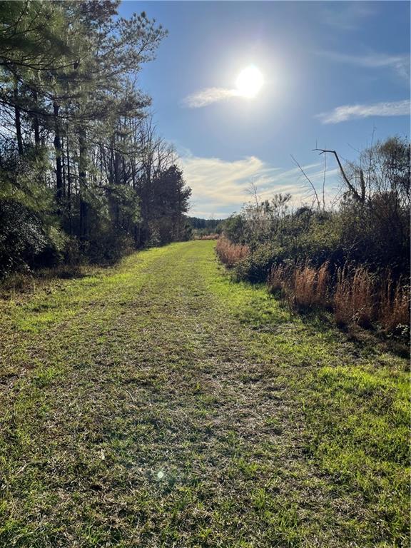 Us 51 Highway, Kentwood, Louisiana image 20