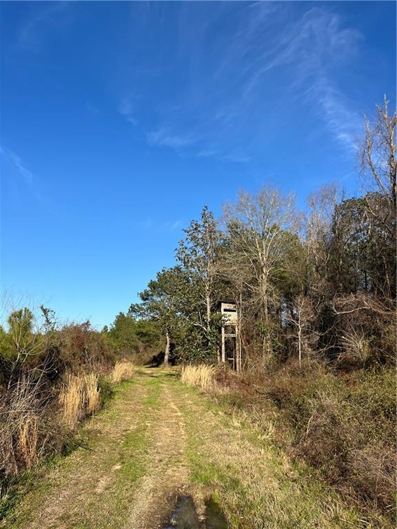 Us 51 Highway, Kentwood, Louisiana image 27