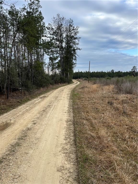 La. Hwy 37 Highway, Greensburg, Louisiana image 19