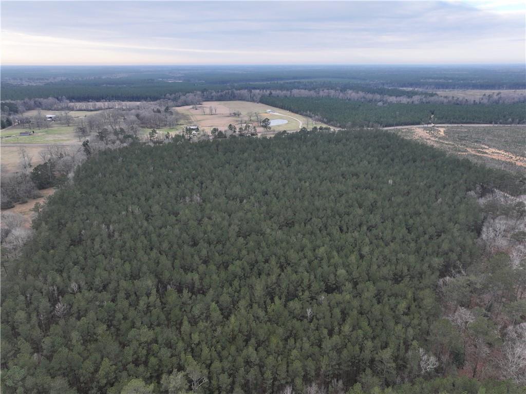 La. Hwy 37 Highway, Greensburg, Louisiana image 9