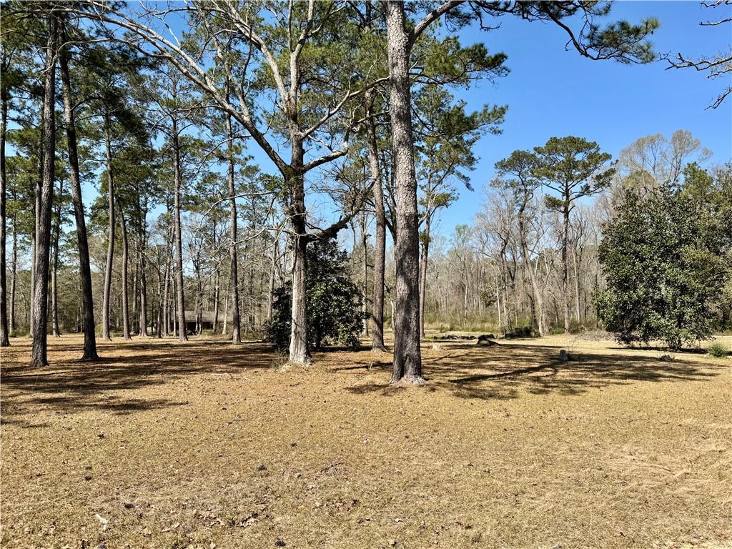 41325 Crown Ext. Drive, Ponchatoula, Louisiana image 7