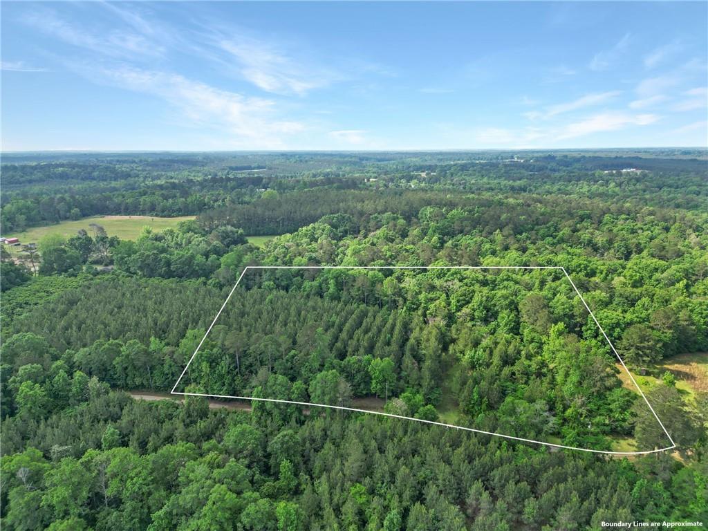 Lot 7 La-62 Highway, Angie, Louisiana image 2