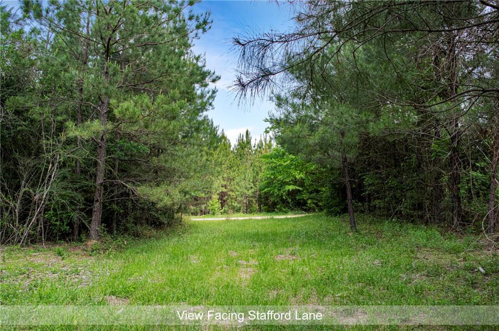 Lot 7 La-62 Highway, Angie, Louisiana image 6
