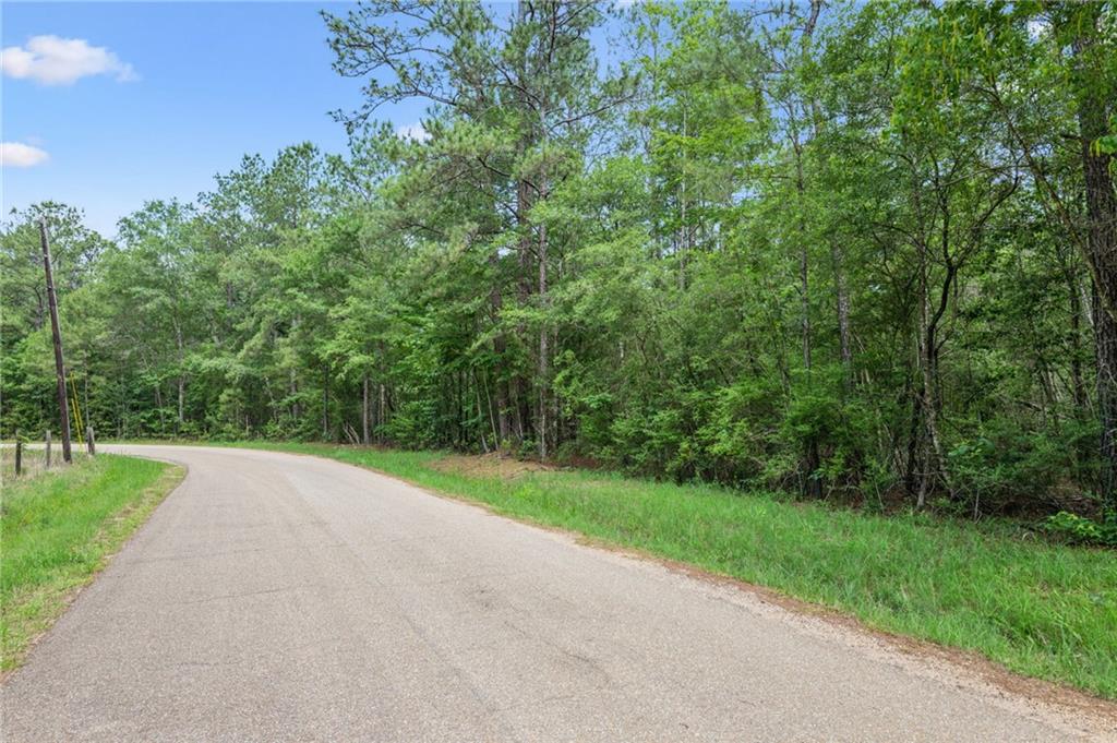 Parcel 2 (6.49) Acres Bruhl Road, Folsom, Louisiana image 1