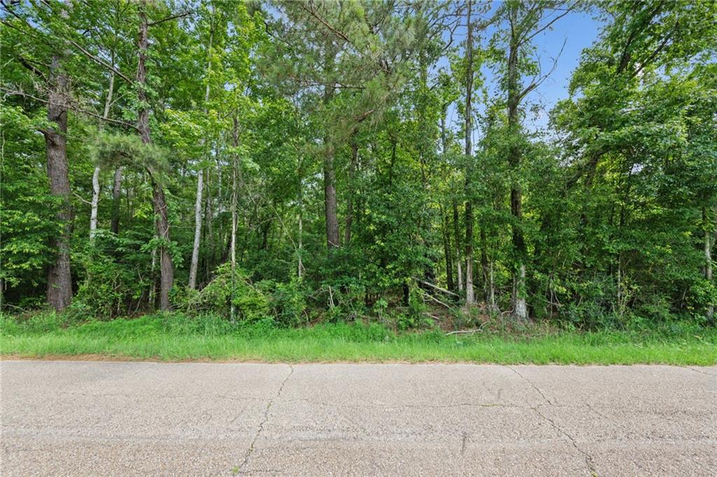 Parcel 2 (6.49) Acres Bruhl Road, Folsom, Louisiana image 11