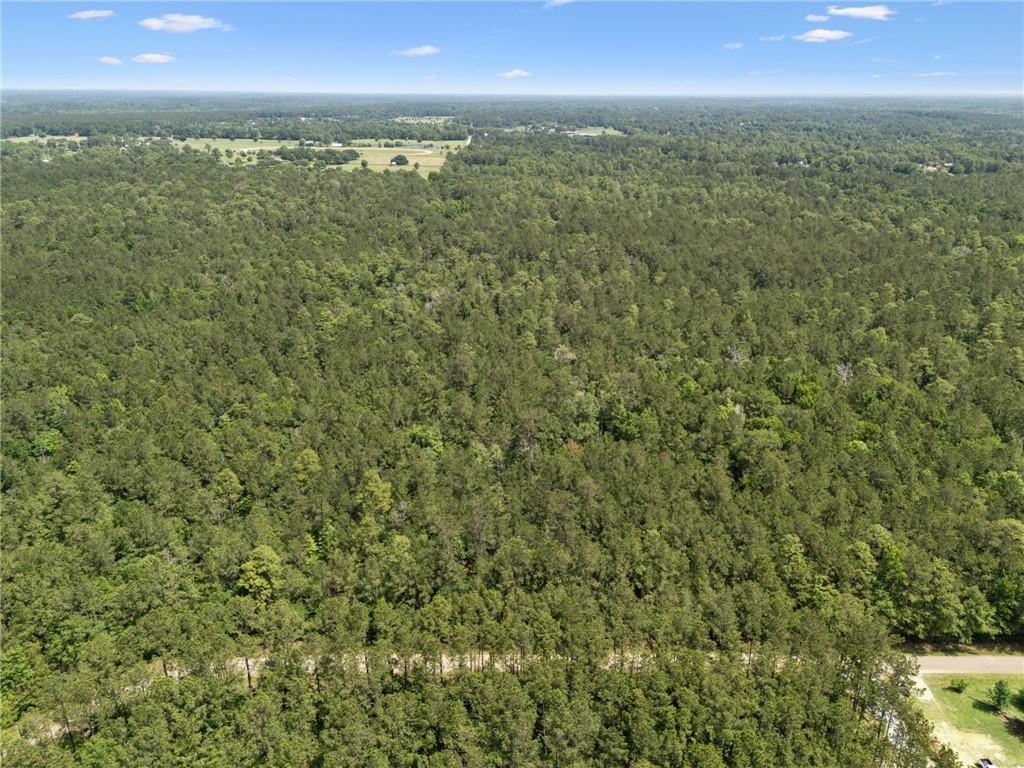 Parcel 2 (6.49) Acres Bruhl Road, Folsom, Louisiana image 6