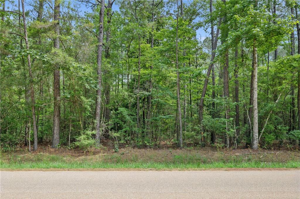 Parcel 3 Bruhl Road, Folsom, Louisiana image 4
