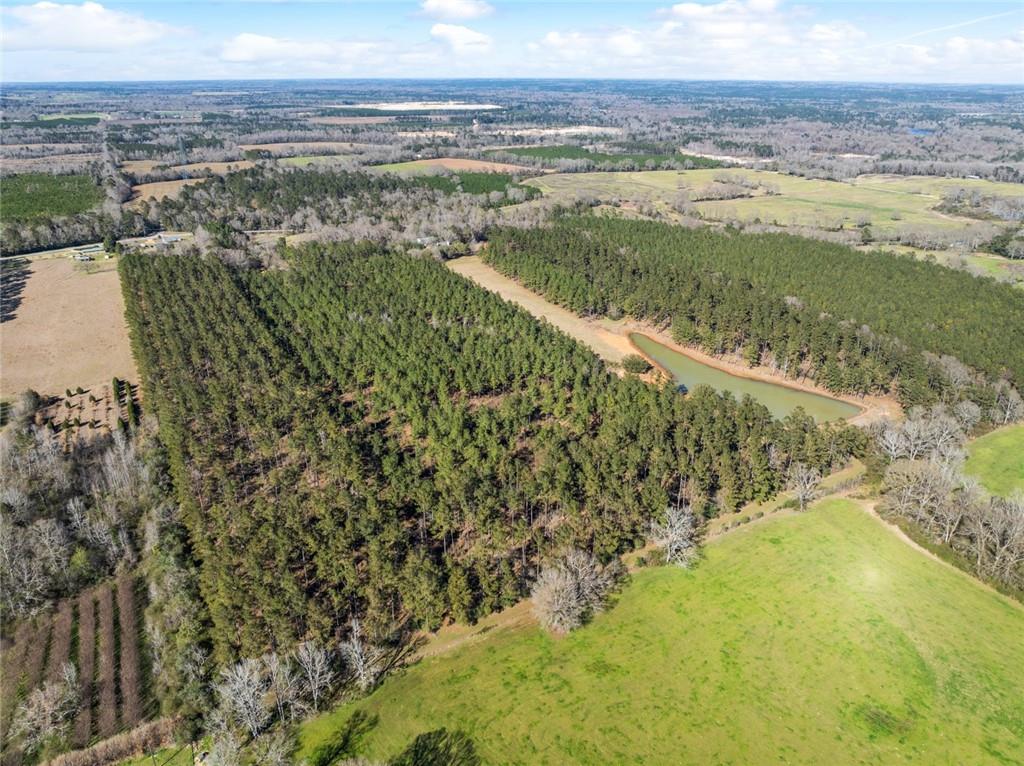 40054 Highway 38 Highway, Mount Hermon, Louisiana image 3