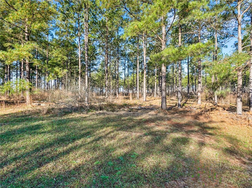 40054 Highway 38 Highway, Mount Hermon, Louisiana image 50
