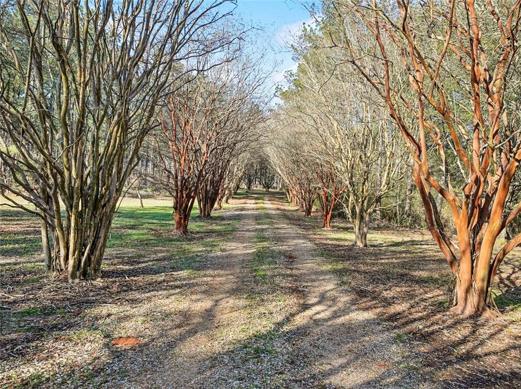 40054 Highway 38 Highway, Mount Hermon, Louisiana image 6