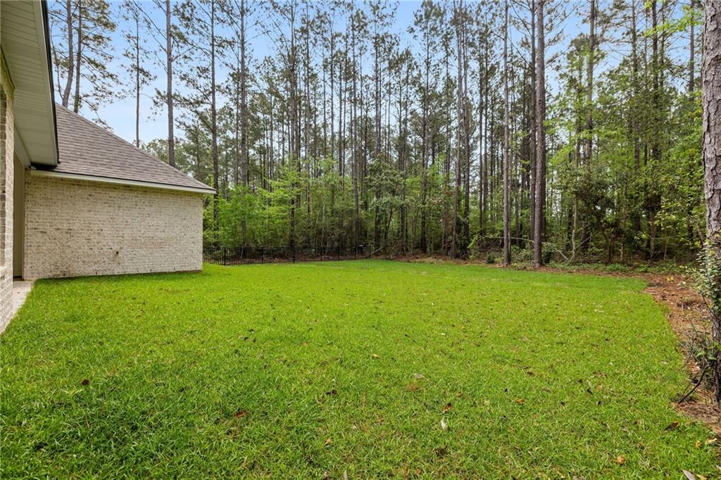 412 Beebalm Circle, Covington, Louisiana image 20
