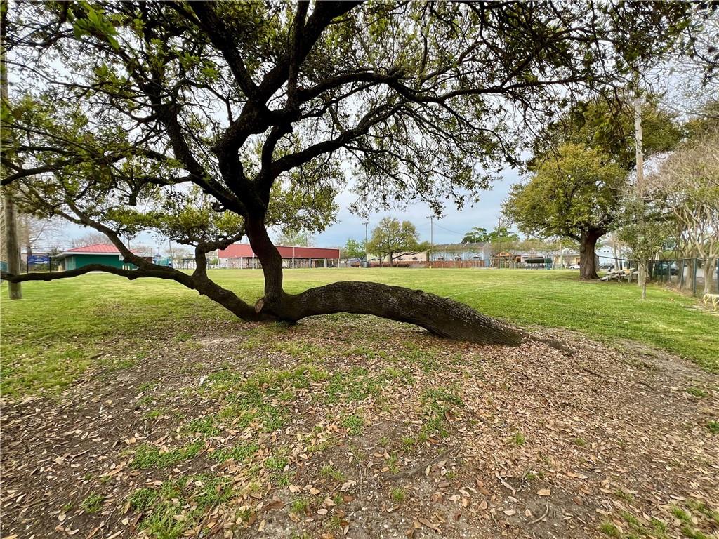 2137 Soniat Street, New Orleans, Louisiana image 3