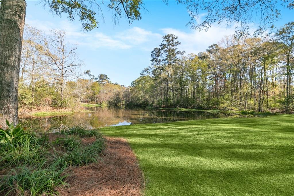 6014 Walden Place, Mandeville, Louisiana image 42