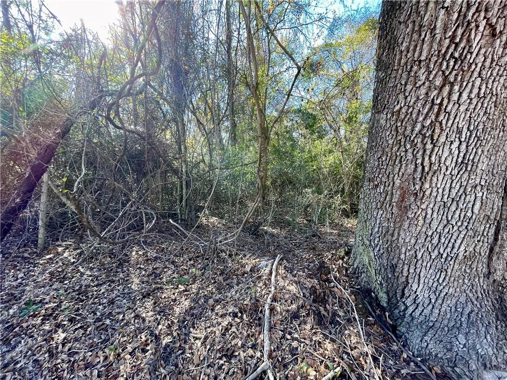 9.45 Acres Robert Road, Pearl River, Louisiana image 11