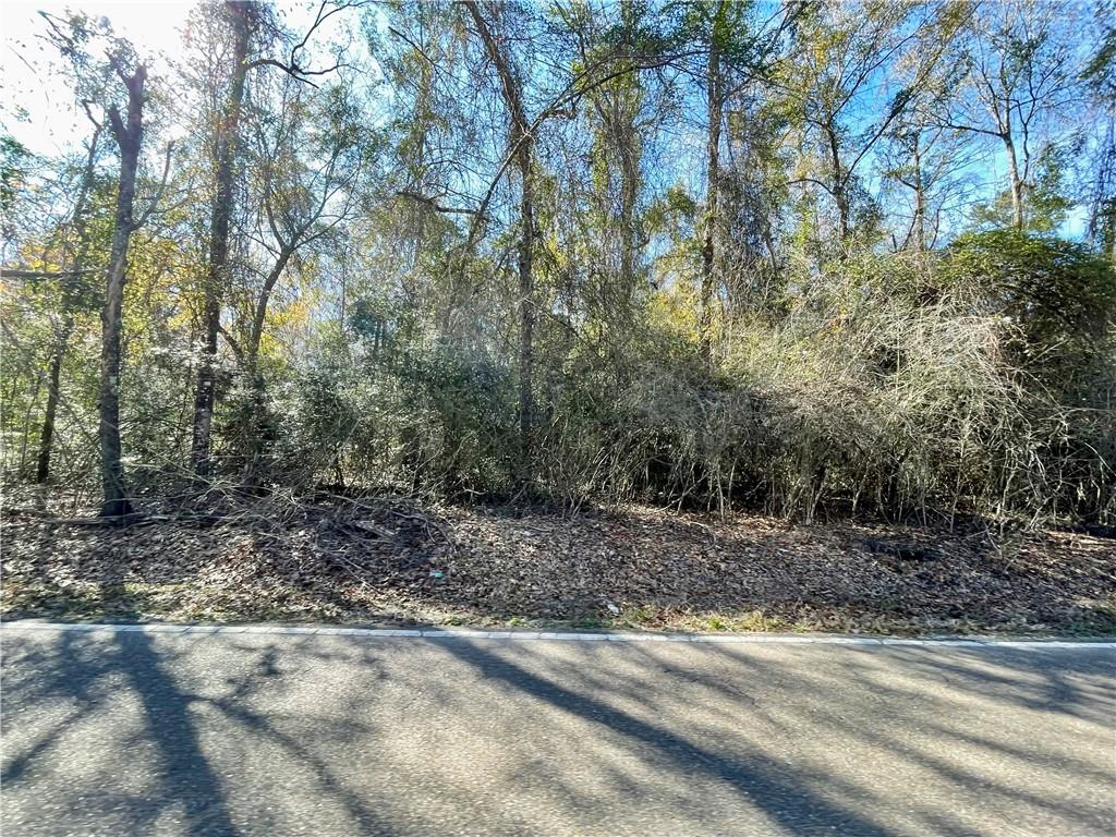 9.45 Acres Robert Road, Pearl River, Louisiana image 3