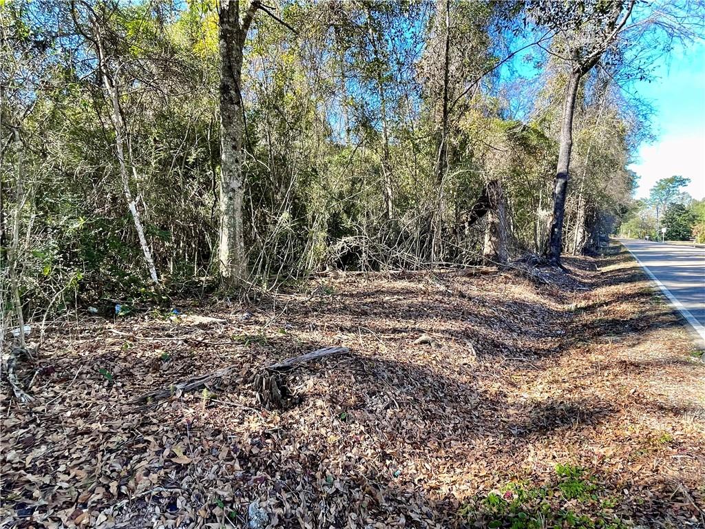 9.45 Acres Robert Road, Pearl River, Louisiana image 8