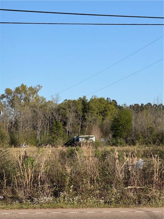 13215 Highway 22 Highway, Ponchatoula, Louisiana image 14