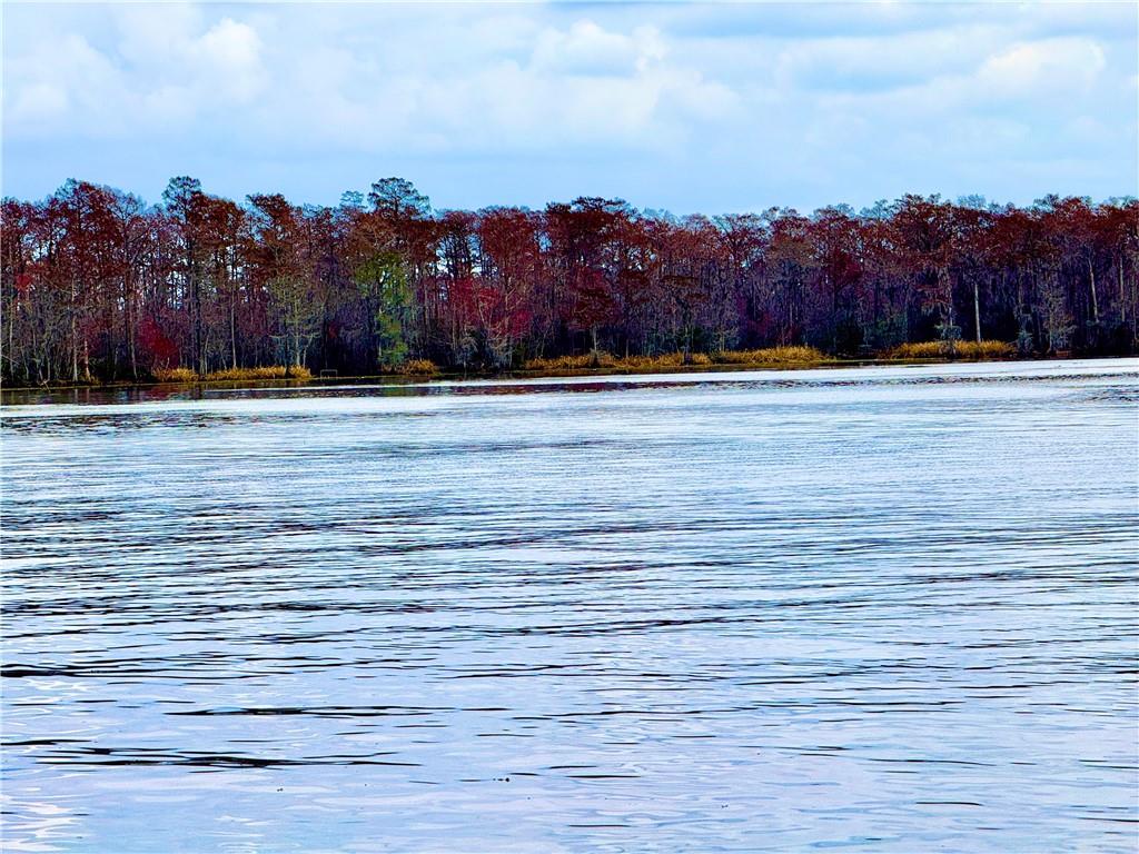 127 E Hwy 22 Highway #S14, Madisonville, Louisiana image 25