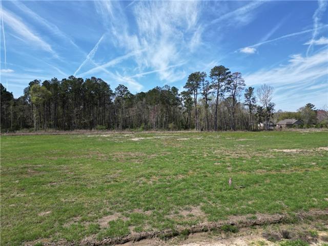 24755 Lot A-5 442 Highway, Independence, Louisiana image 1