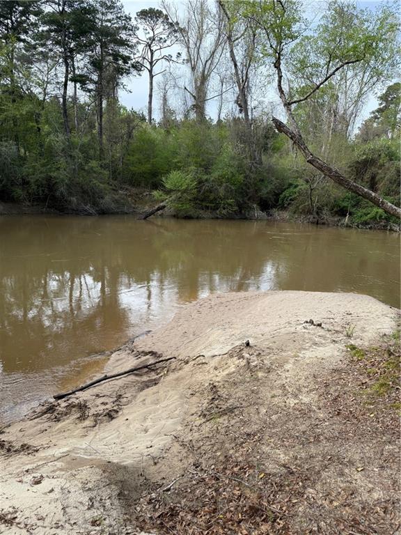 34310 Bluff Line Road, Independence, Louisiana image 43