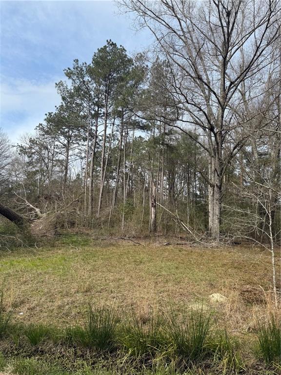 50477 Jimony Drive, Tickfaw, Louisiana image 2