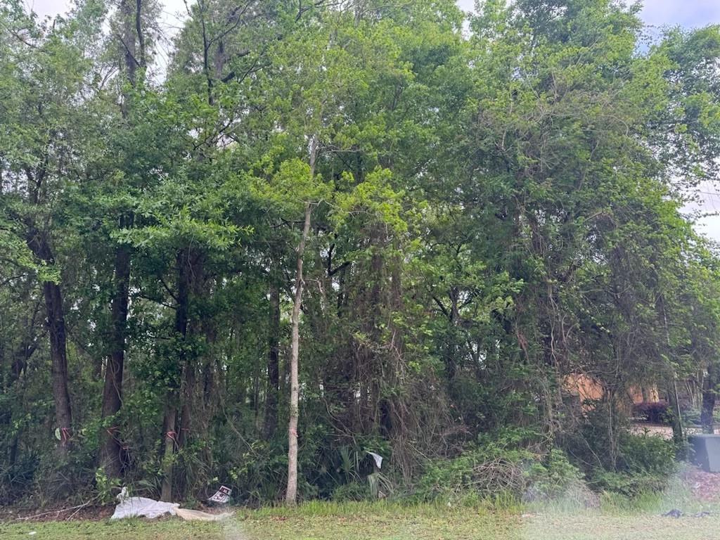 58427 Tyler Drive, Slidell, Louisiana image 15