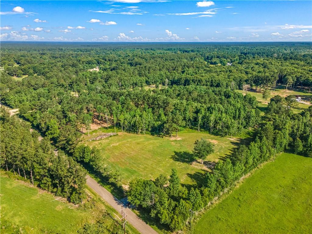 18035 Louisiana Tung Road, Covington, Louisiana image 4