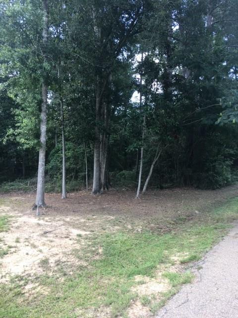 9A Beta Avenue, Covington, Louisiana image 1