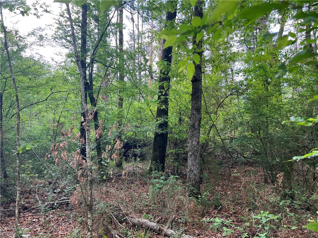TBD 449 Highway, Greensburg, Louisiana image 12