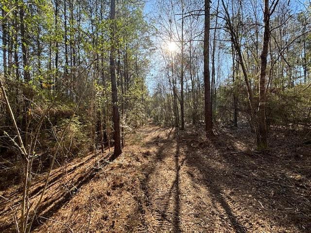 32400 Tom Warner Road, Franklinton, Louisiana image 5