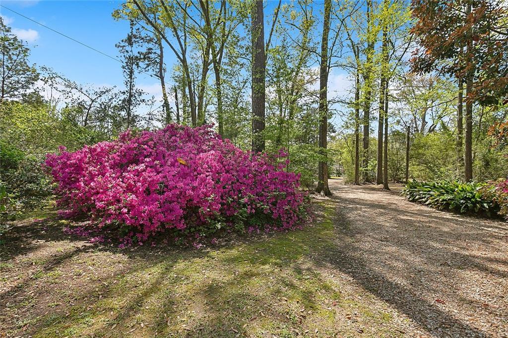 707 Copal Street, Mandeville, Louisiana image 2