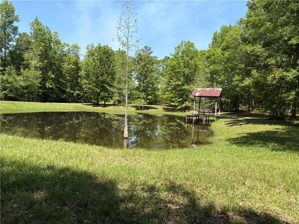 23218 Shady Lane, Kentwood, Louisiana image 2