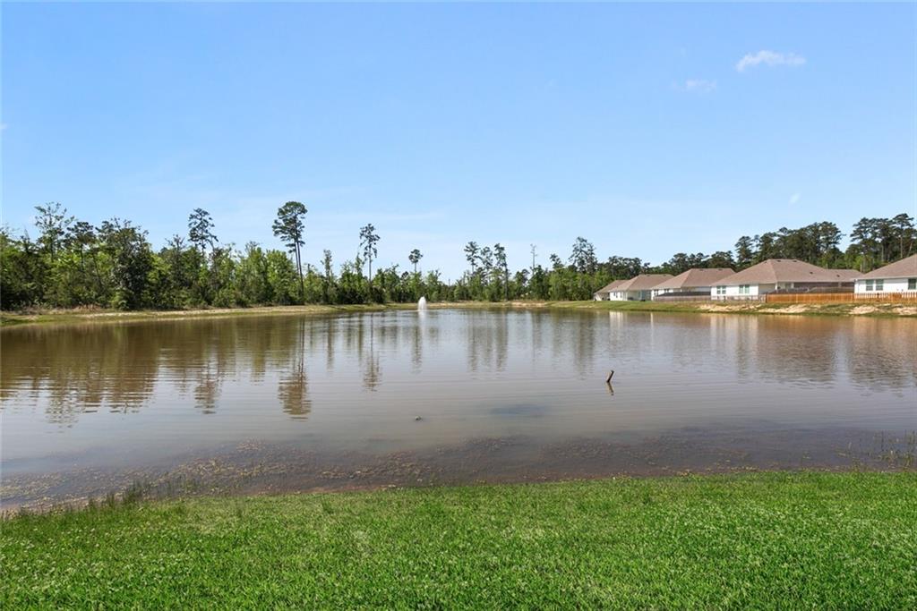 40363 Cypress Reserve Boulevard, Ponchatoula, Louisiana image 21