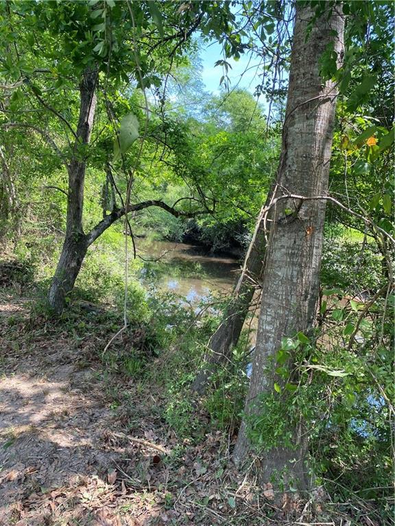 S River Drive, Covington, Louisiana image 8