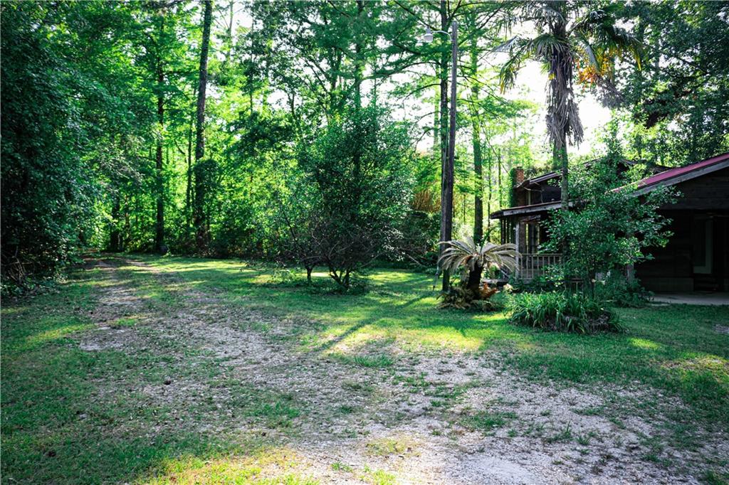 41286 C C Road, Ponchatoula, Louisiana image 19