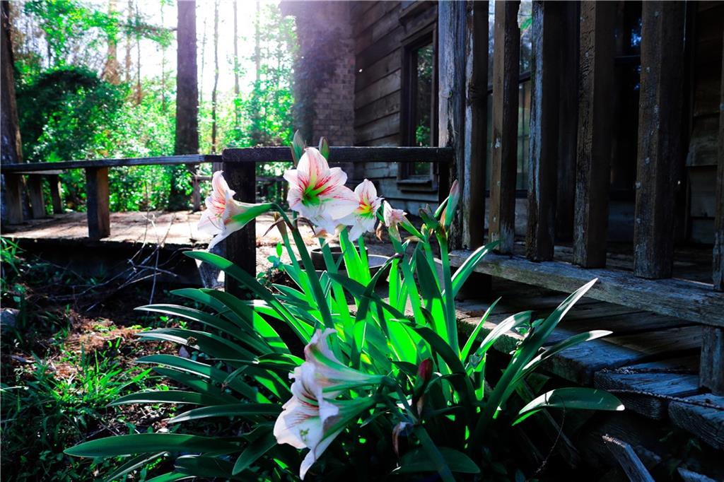 41286 C C Road, Ponchatoula, Louisiana image 27