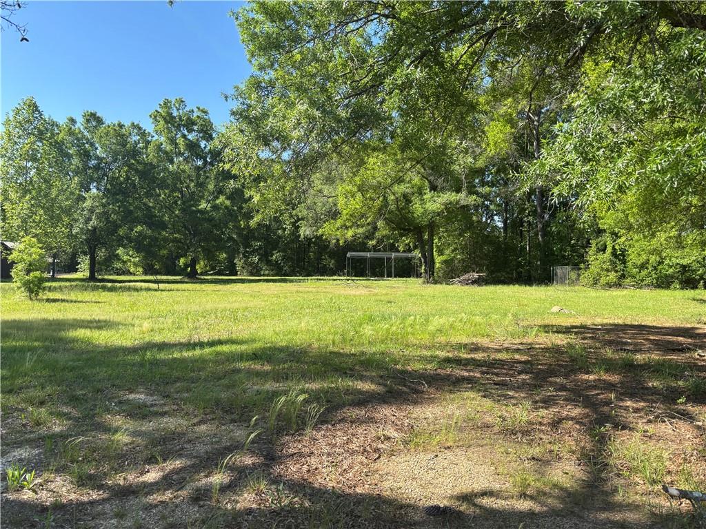 19056 Hwy 1055 Highway, Kentwood, Louisiana image 1