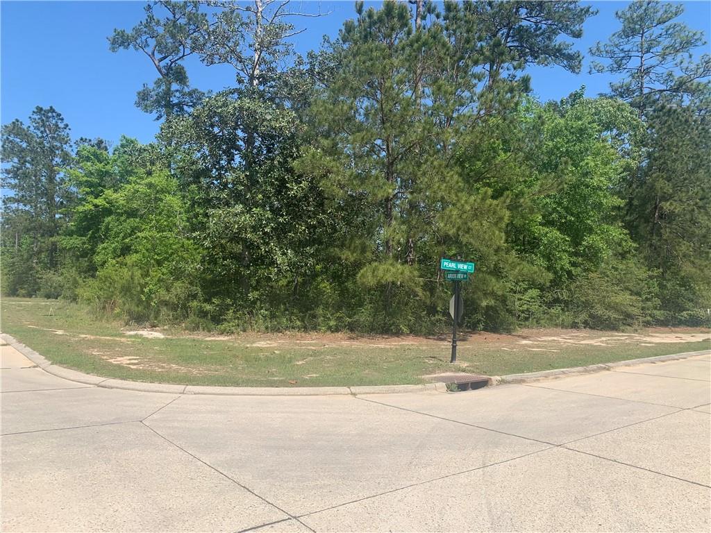 601 Pearl View Court, Slidell, Louisiana image 11