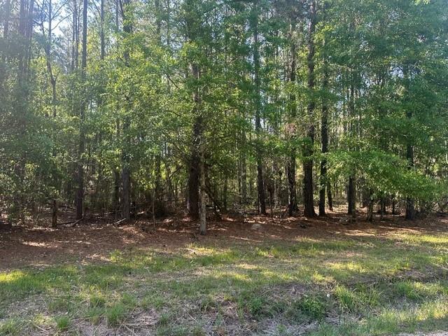 TBD Lavinghouse-parcel C Road, Bush, Louisiana image 3
