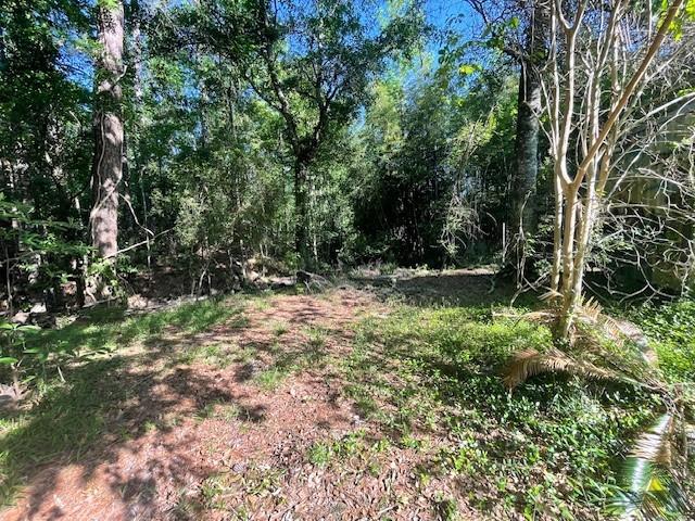32793 La Highway 1036 Highway, Holden, Louisiana image 18