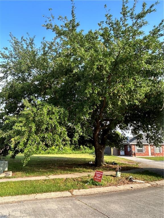 4116 Juno Drive, Chalmette, Louisiana image 3