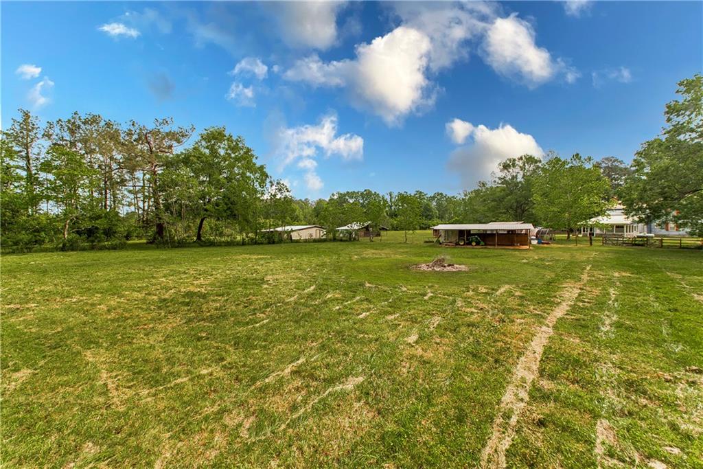 54117 Leto Lane, Independence, Louisiana image 22