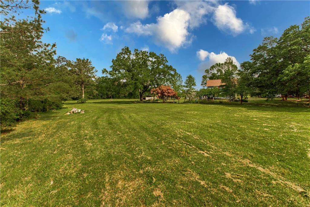54117 Leto Lane, Independence, Louisiana image 28