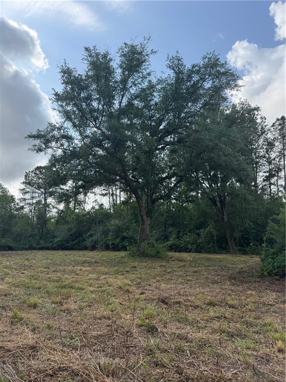 LOT 55 W Cherry Hill Loop, Folsom, Louisiana image 10