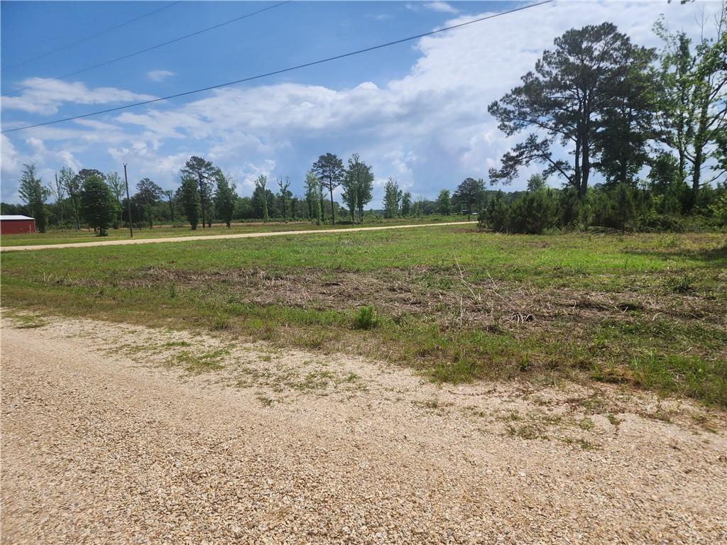 Moses Cove, Picayune, Mississippi image 2