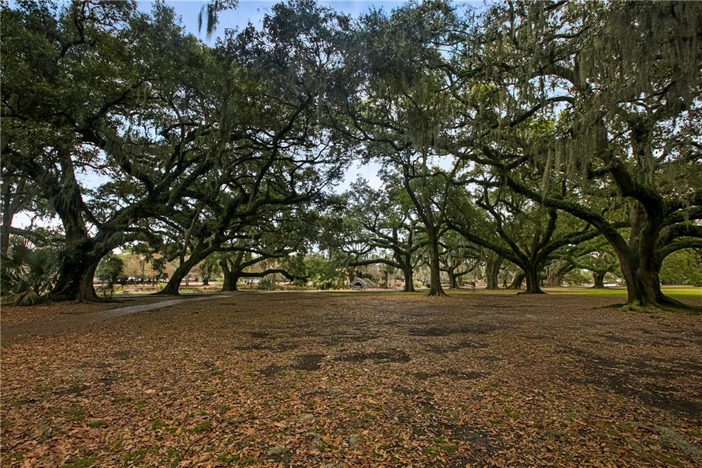 8000 St Charles Avenue #C, New Orleans, Louisiana image 18