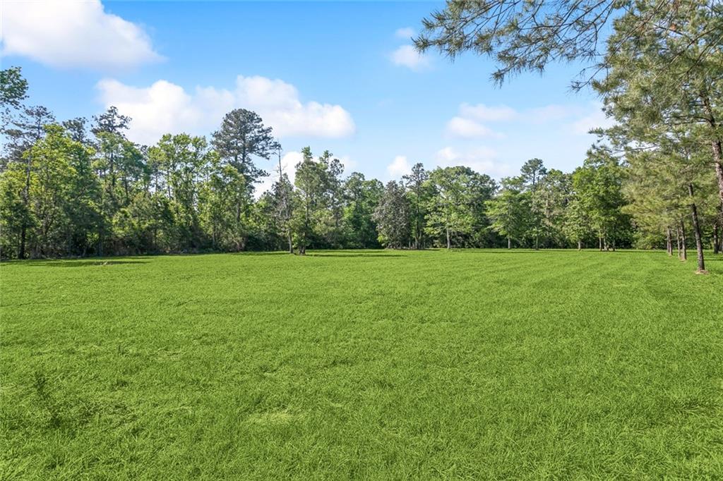 51136 Wig Lane, Loranger, Louisiana image 10